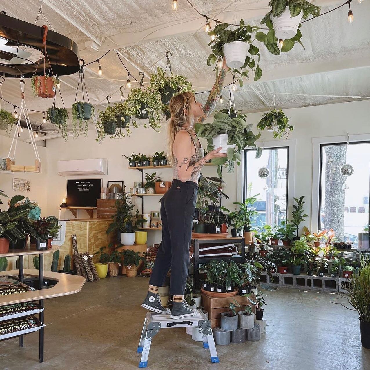 we are so stoked to announce @theplantoutpost now carries our apothecary line!🪴✨

they&rsquo;re pretty much the sweetest + the cutest. 🙏🏽

now go snag you some plants + take a whiff! 

📷 @theplantoutpost 

#apothecary #theonlywayoutisin #plants #