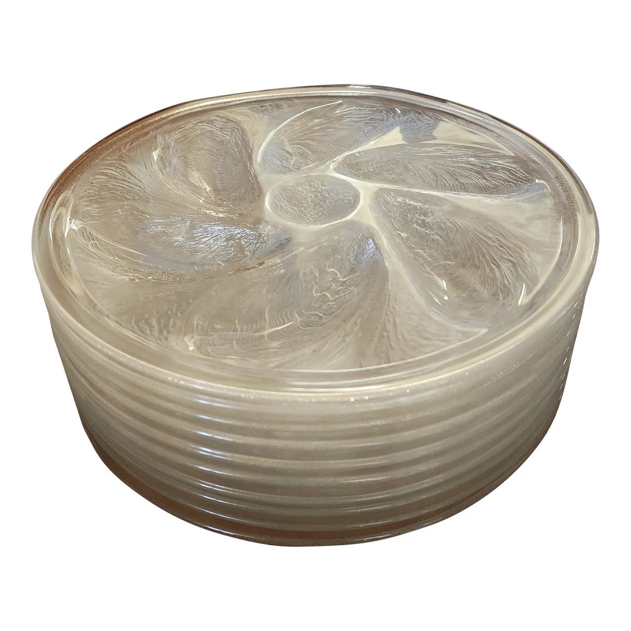 Glass Oyster Plates - Set of 10