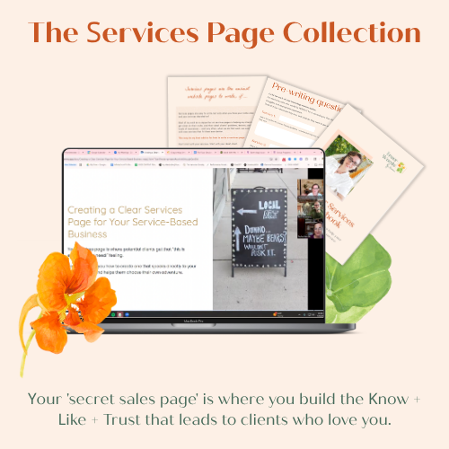 New Website Mock-ups for Workshops and Workbooks (500 x 500 px) (40).png