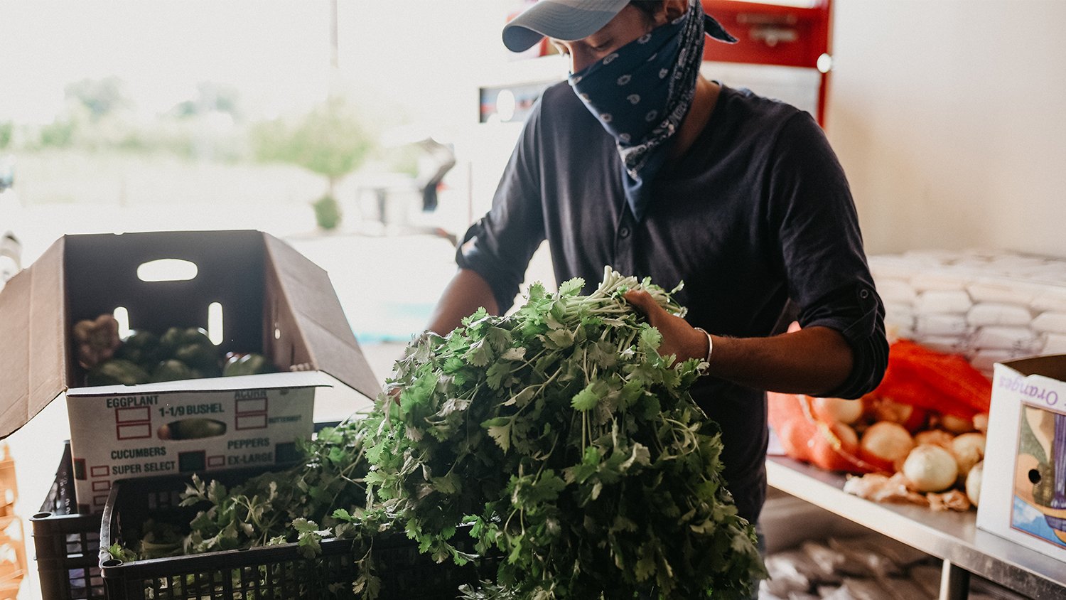 Elawa Farm partners with Bella Ru Catering to distribute locally-sourced grocery bags to predominantly Latinx communities across Lake County, including Waukegan, North Chicago, and Round Lake. 