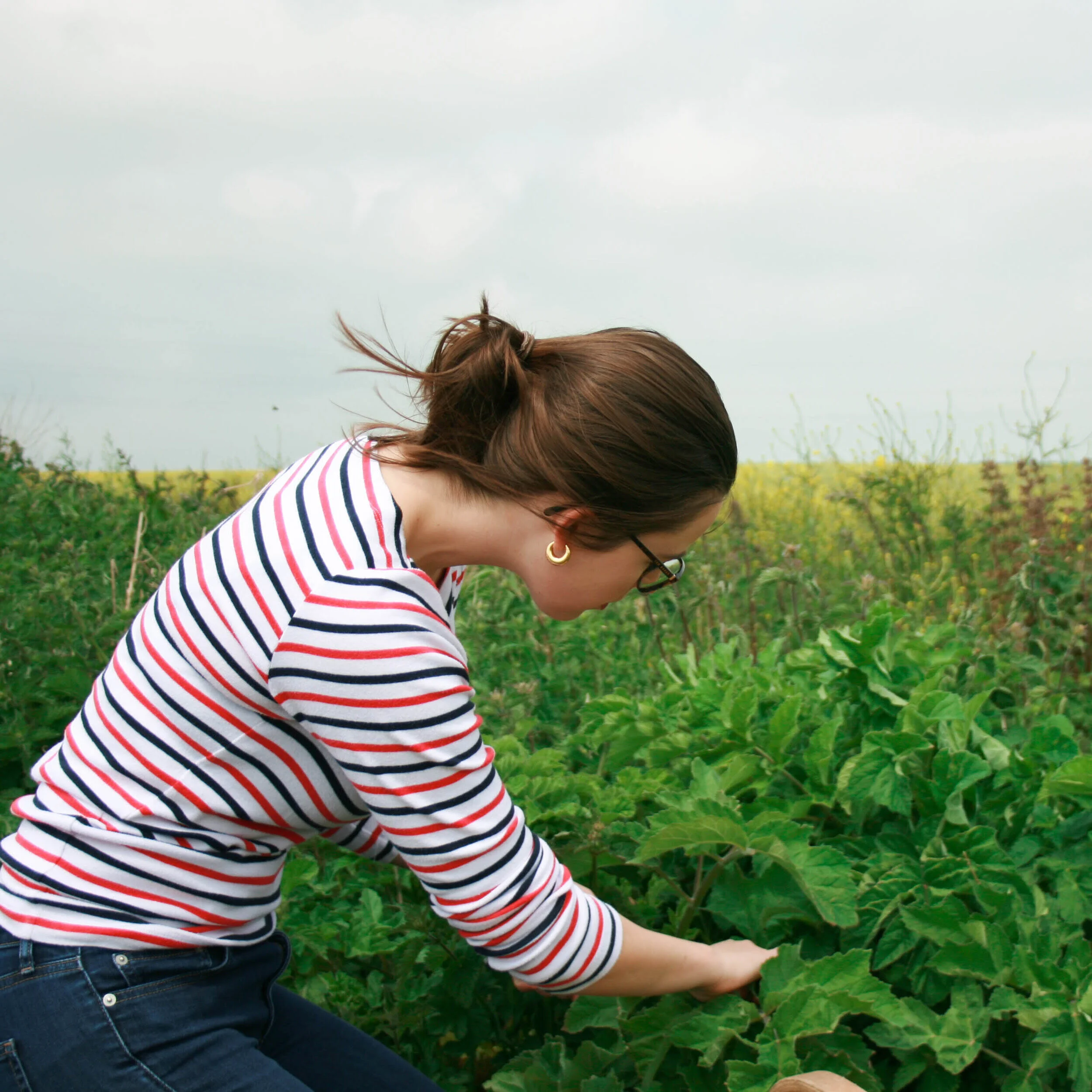 THE DOORSTEP KITCHEN podcast TRAILER