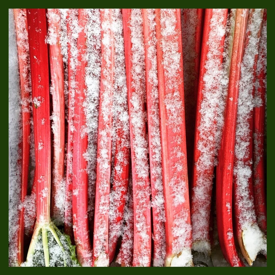 Ahh the forced rhubarb season - fleeting and fabulous. What's your favourite recipe with it?⁠⁠
⁠⁠
📷 @boroughmarket ⁠⁠
⁠⁠
⁠⁠
⁠⁠
⁠⁠
#thedoorstepkitchen #bestofbritish #boroughmarket #farmersmarket ##organicfarming #vegbox #rhubarb #seasonalfood #eatth