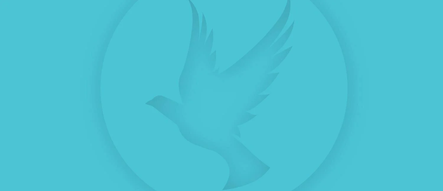 Header Bird.jpg