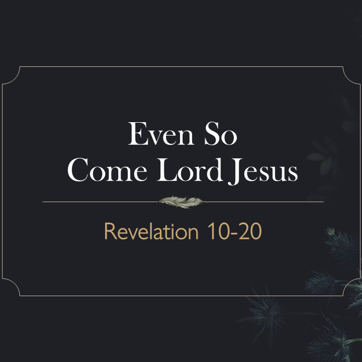 A+Preview+of+Christ%27s+Coming.png