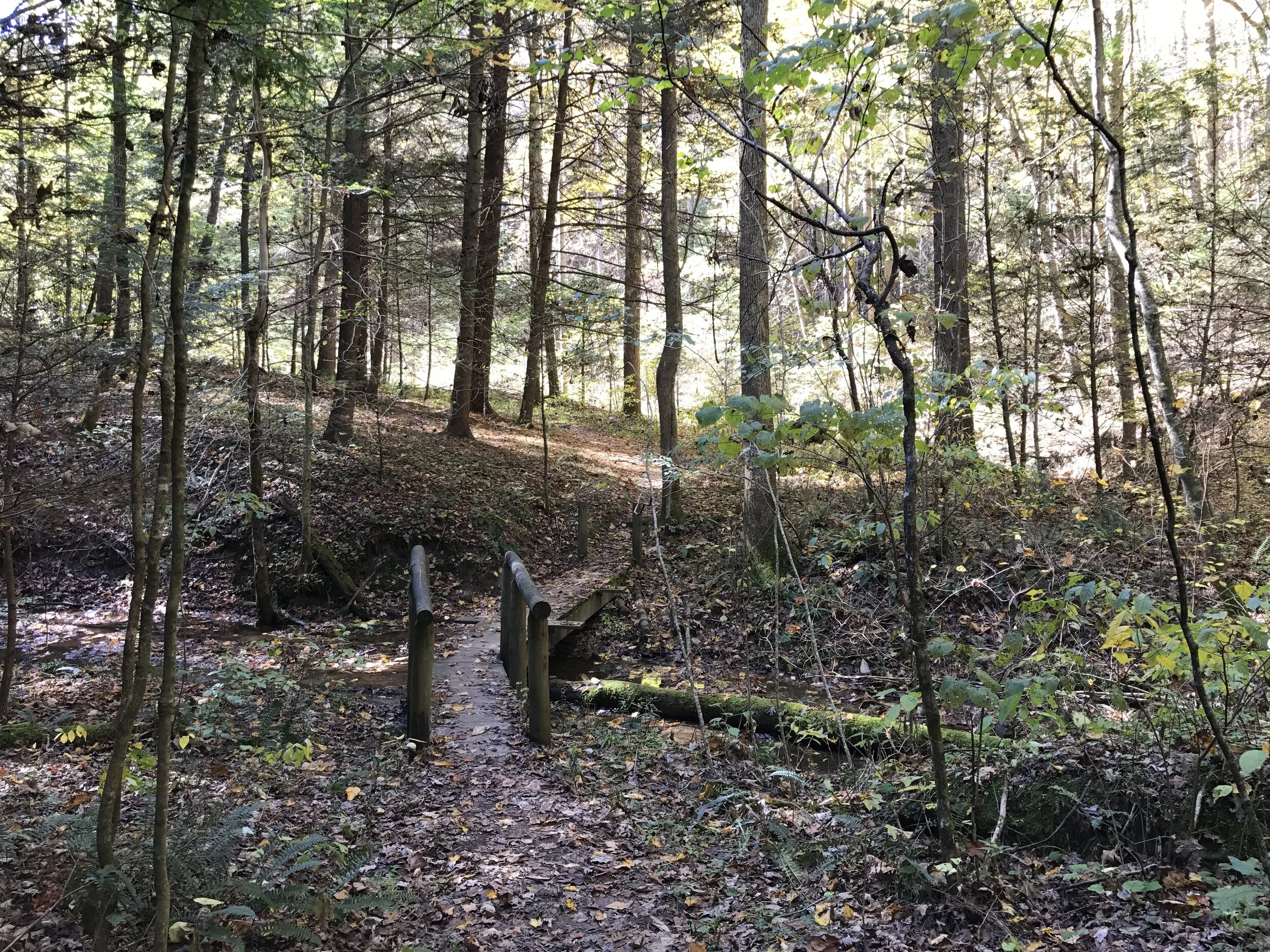 Natural Bridge State Park