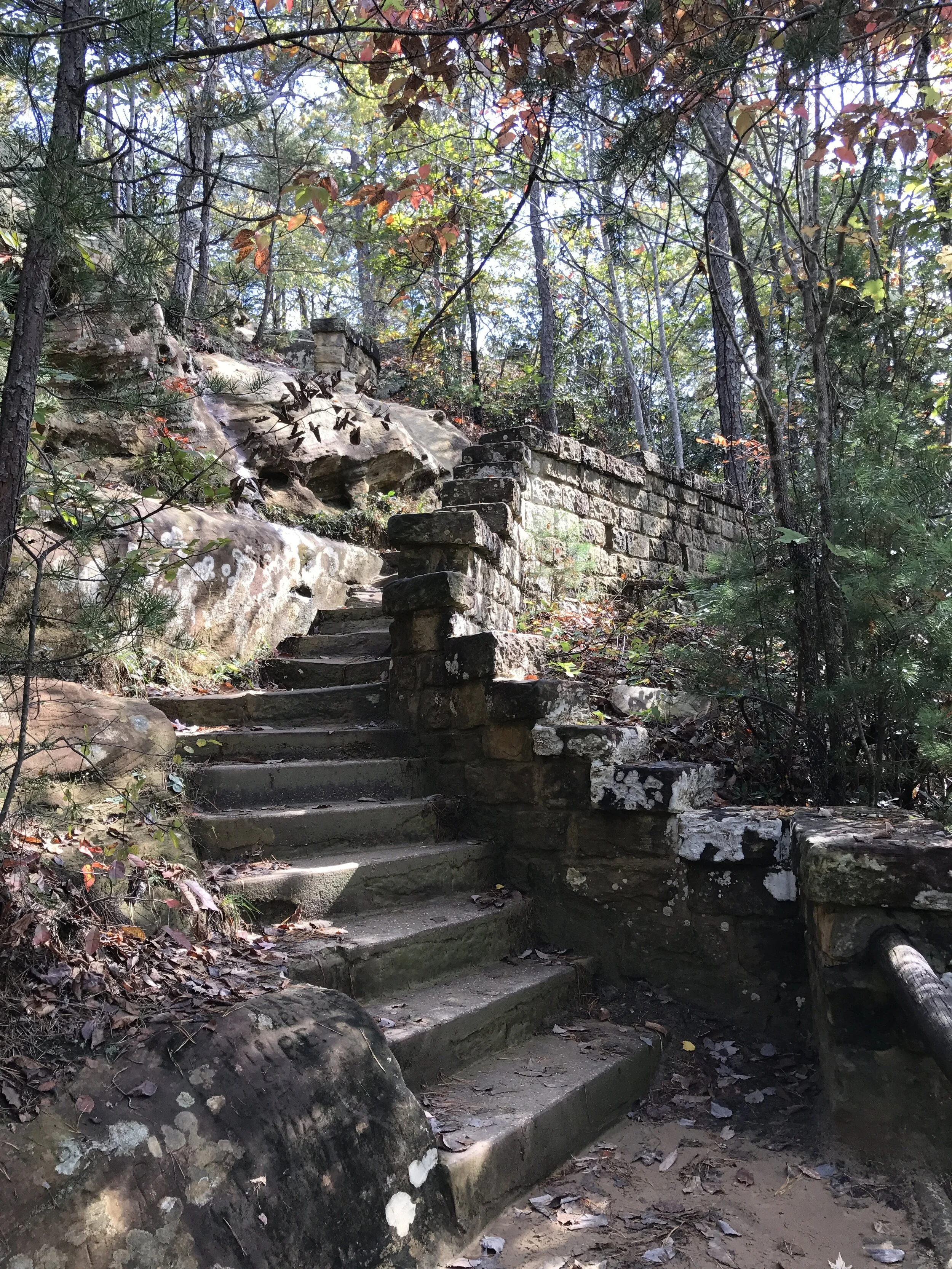 Natural Bridge State Park