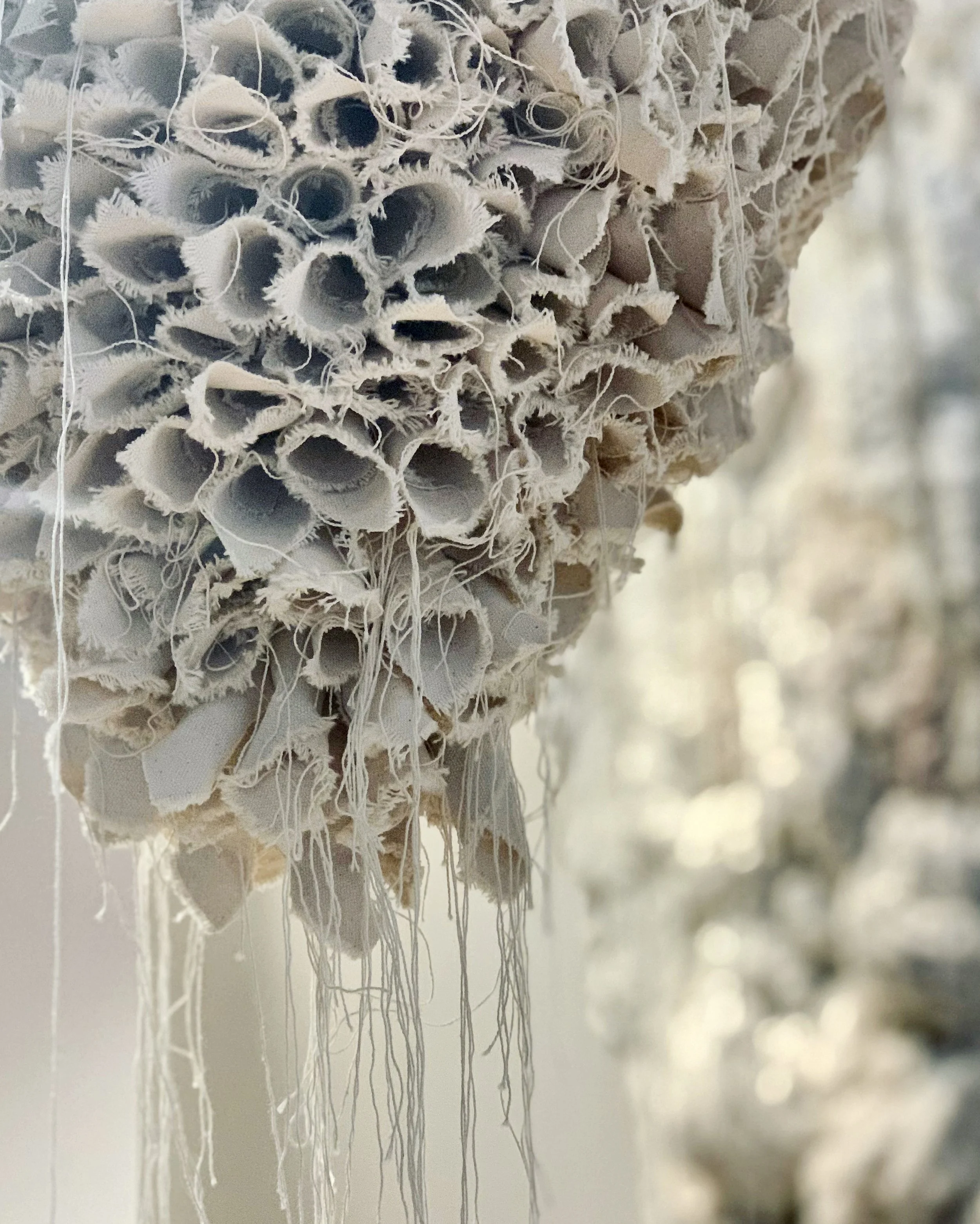 4AEAC856-4EF7-4EEA-A627-C95E468188FA 3.jpeg