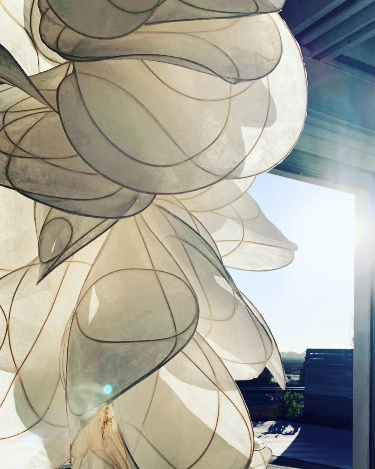 D72F73F2-8004-4C80-BFEA-F70AD3937ECC 4.jpeg