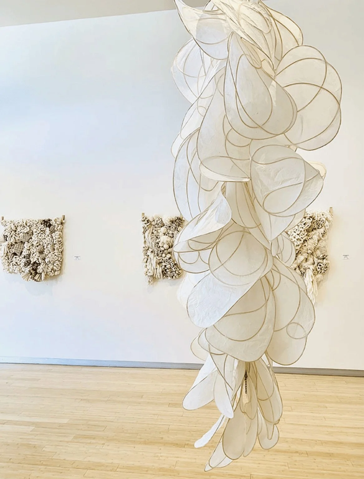 Untitled design 7.jpeg