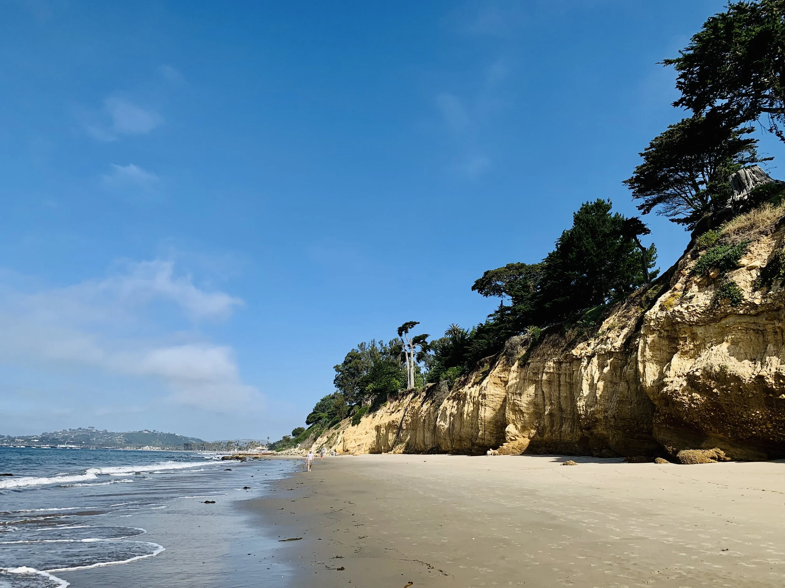 Photo Jul 04, 9 02 34 AM.jpg