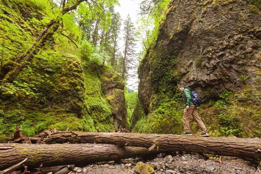 Hiking-in-forest-of-Columbia-River-Gorge-Oregon.jpg