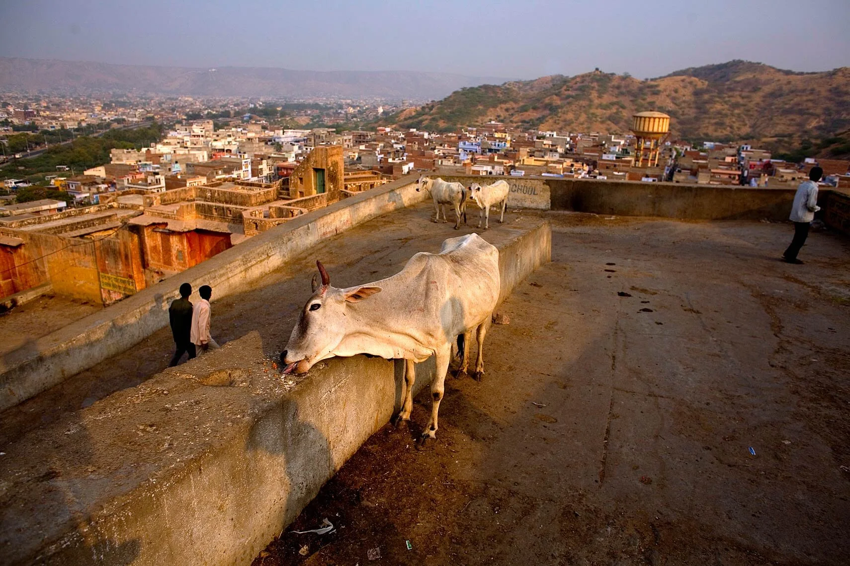 india003.jpg