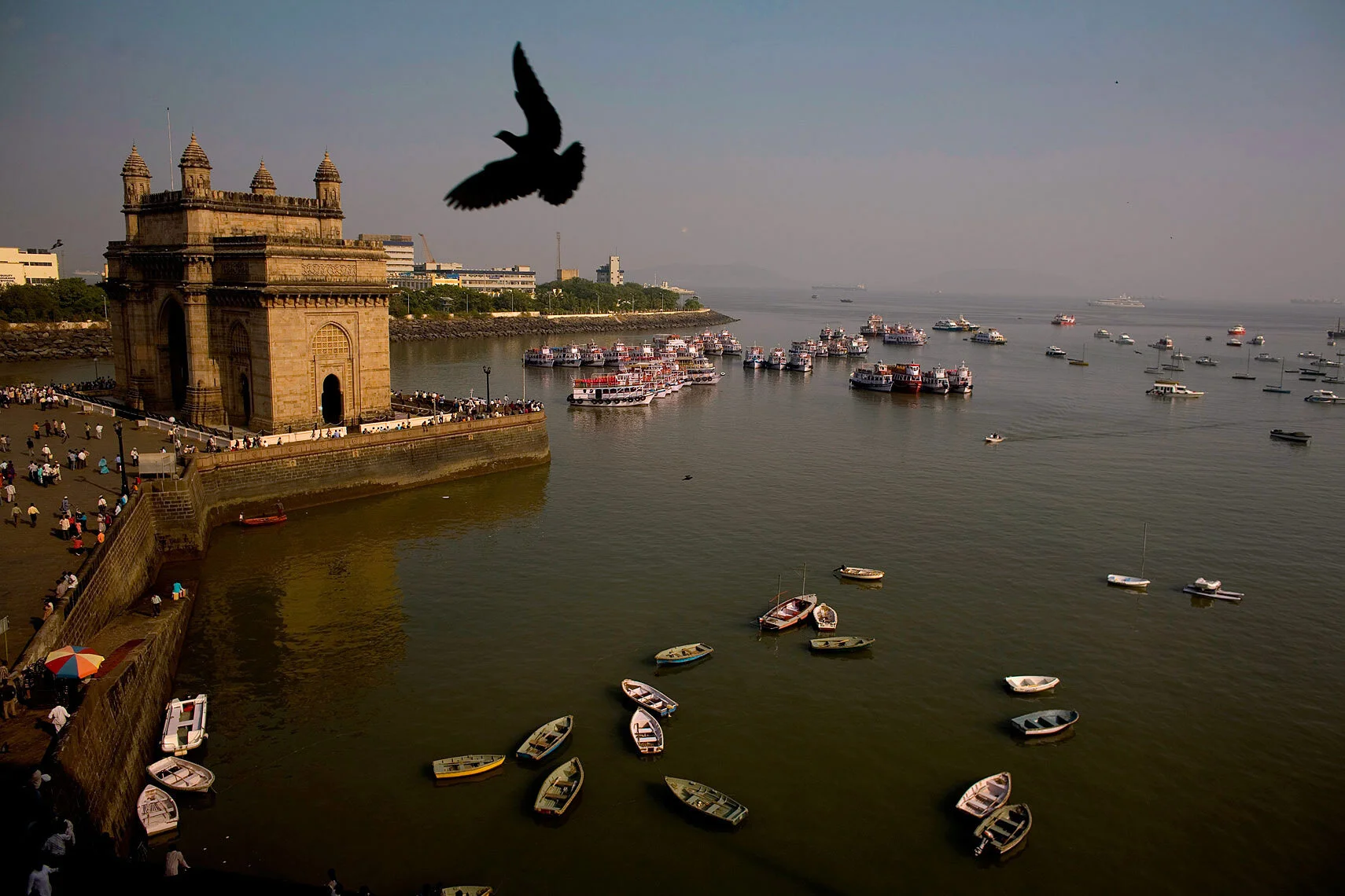 india001.jpg