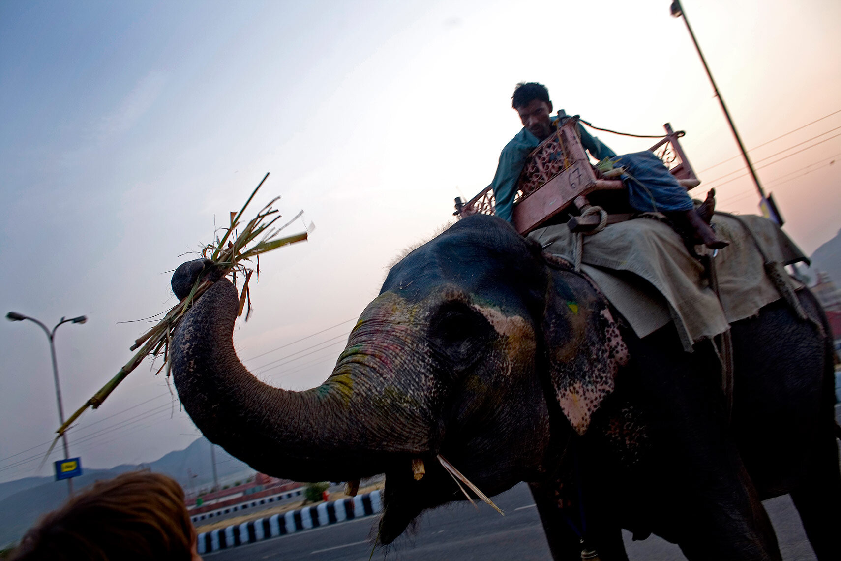 india015.jpg