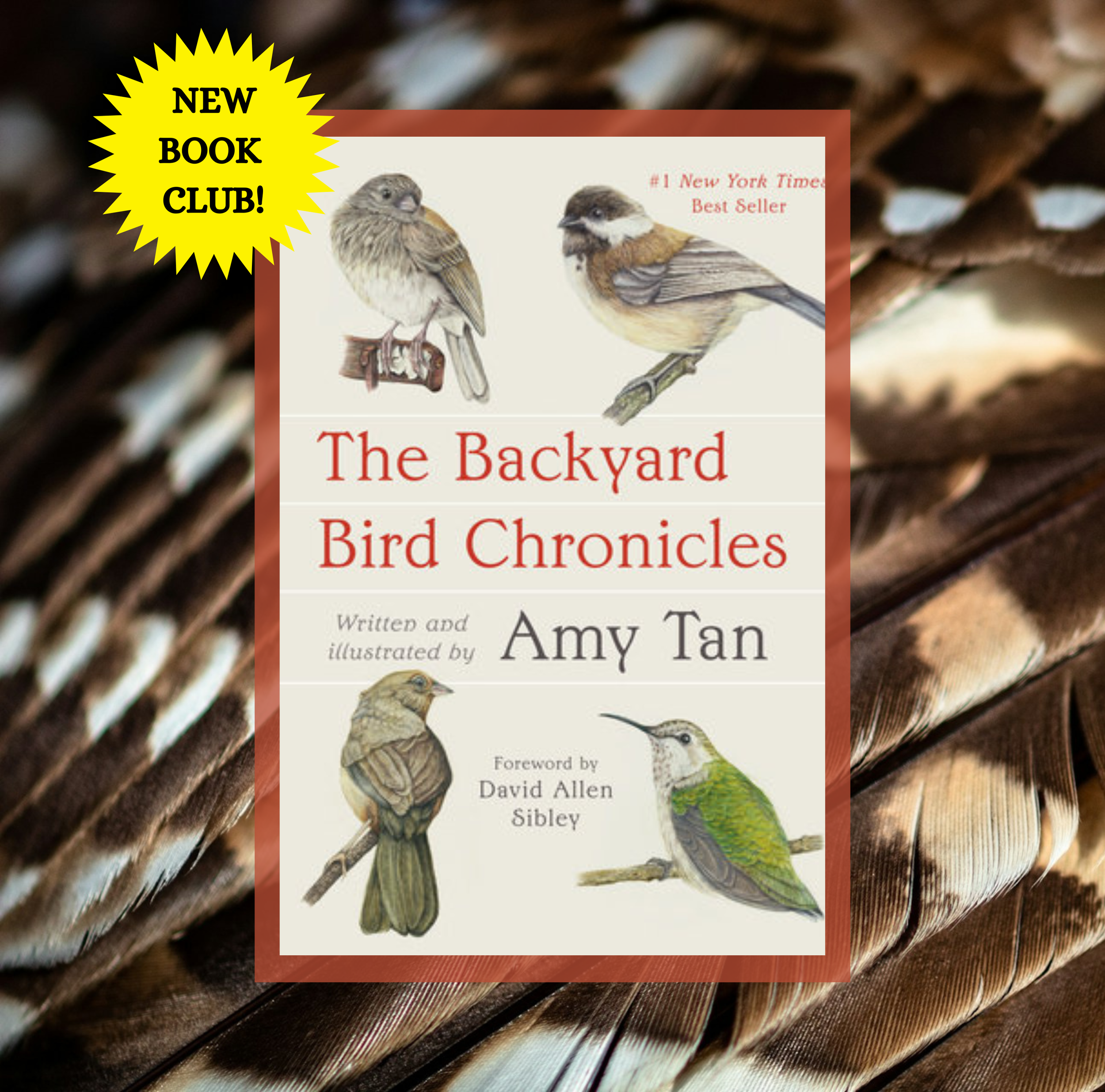 The cover of The Backyard Bird Chronicles by Amy Tan on a background of a photo of brown and white bird feathers. The corner has a yellow burst with the text New Book Club!