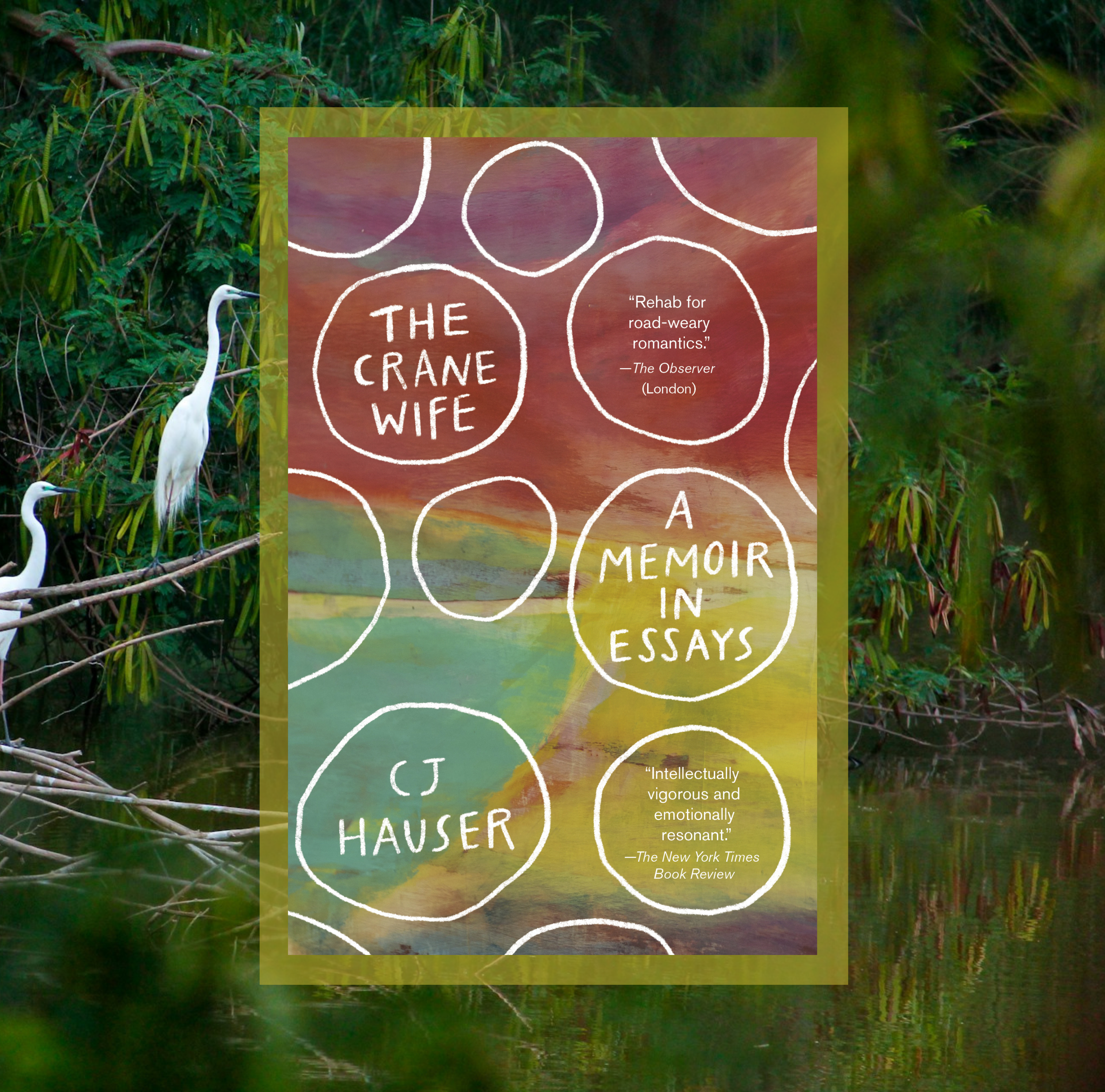 The cover of The Crane Wife by CJ Hauser on a background of a photo of two cranes.