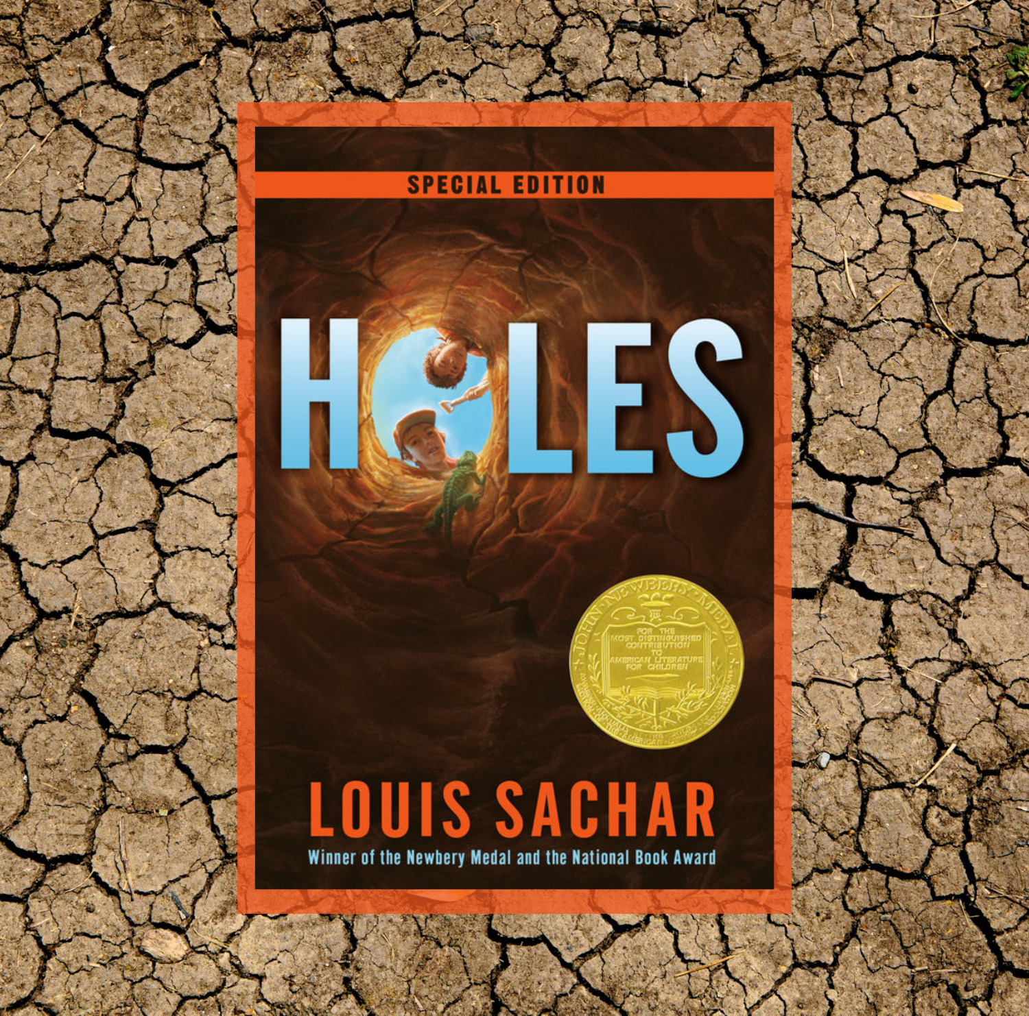 The cover of Holes by Louis Sachar on a background of a photo of dry cracked earth.