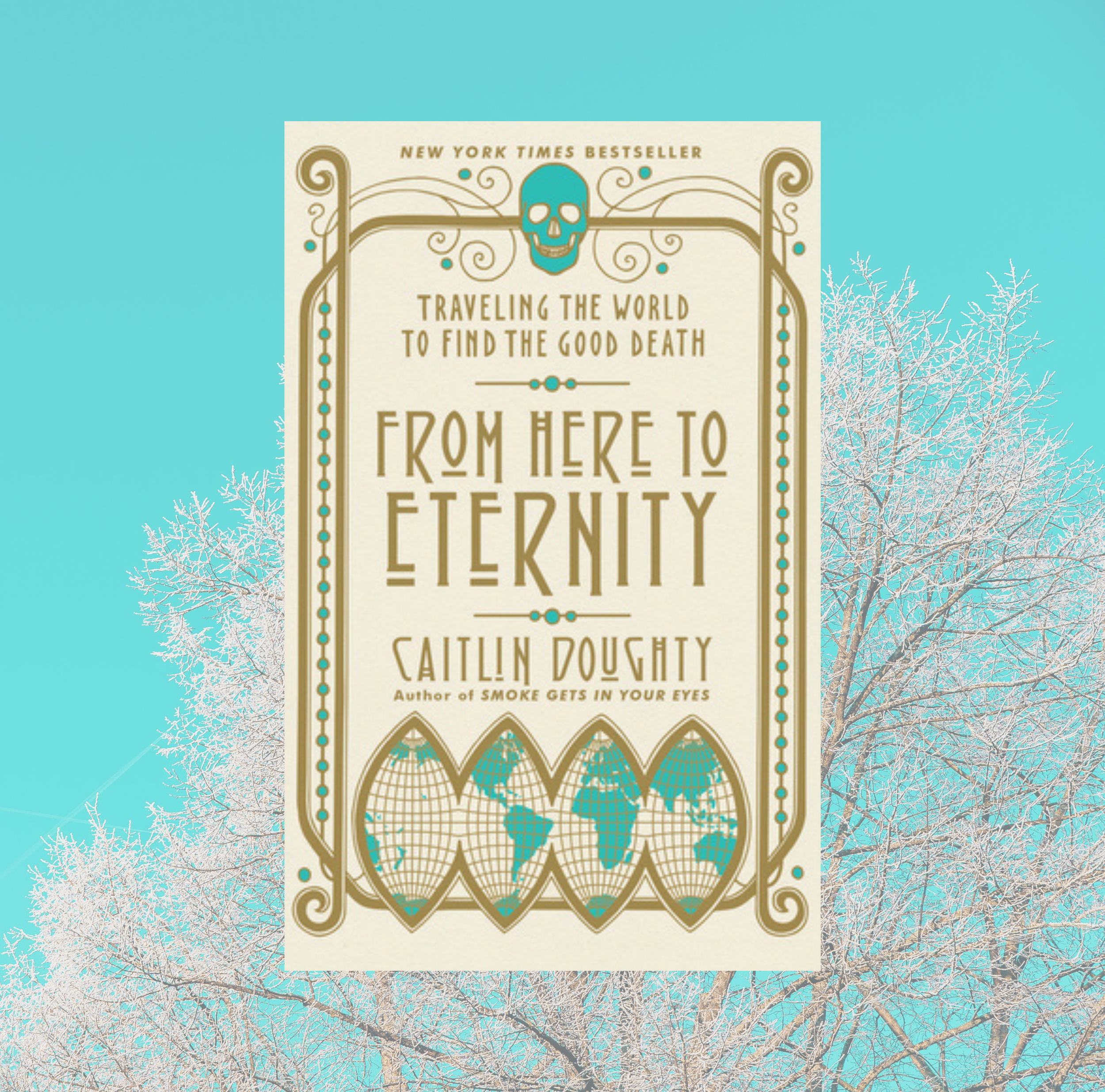 The cover of From Here to Eternity by Caitlin Doughty on a background of a photo of a white tree abd a bright blue sky.