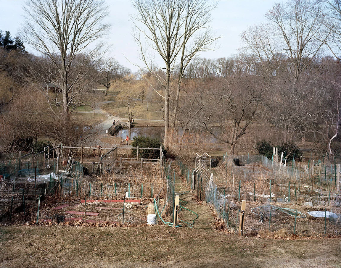 victory gardens