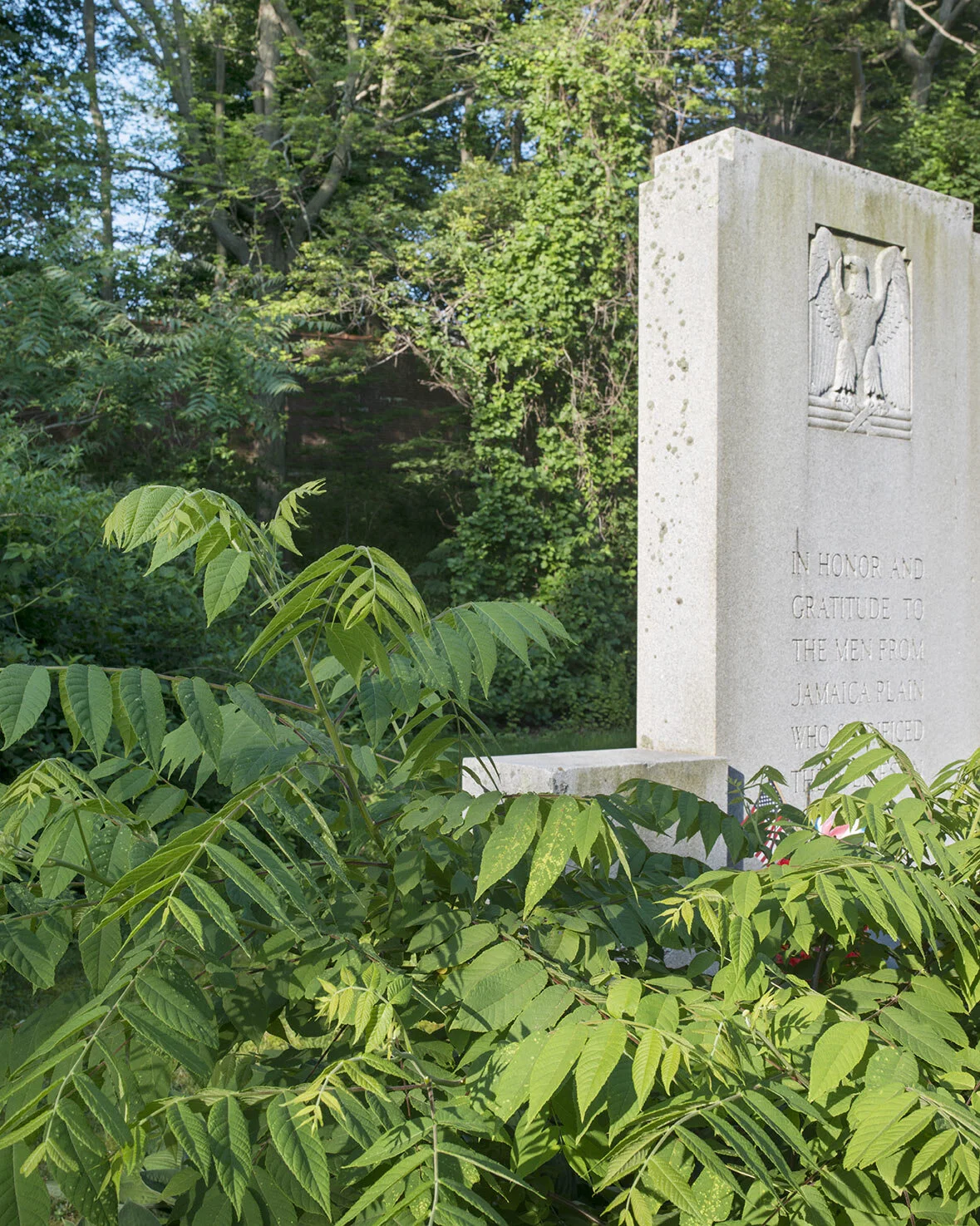 20150410_0874-as-Smart-Object-1.jpg