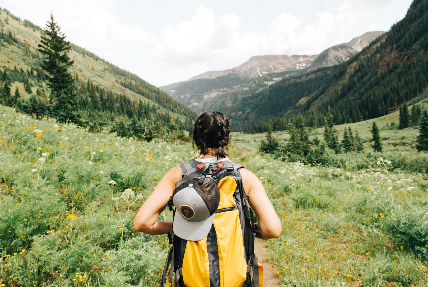 Single Person Trust (No Kids) and Complete Estate Plan