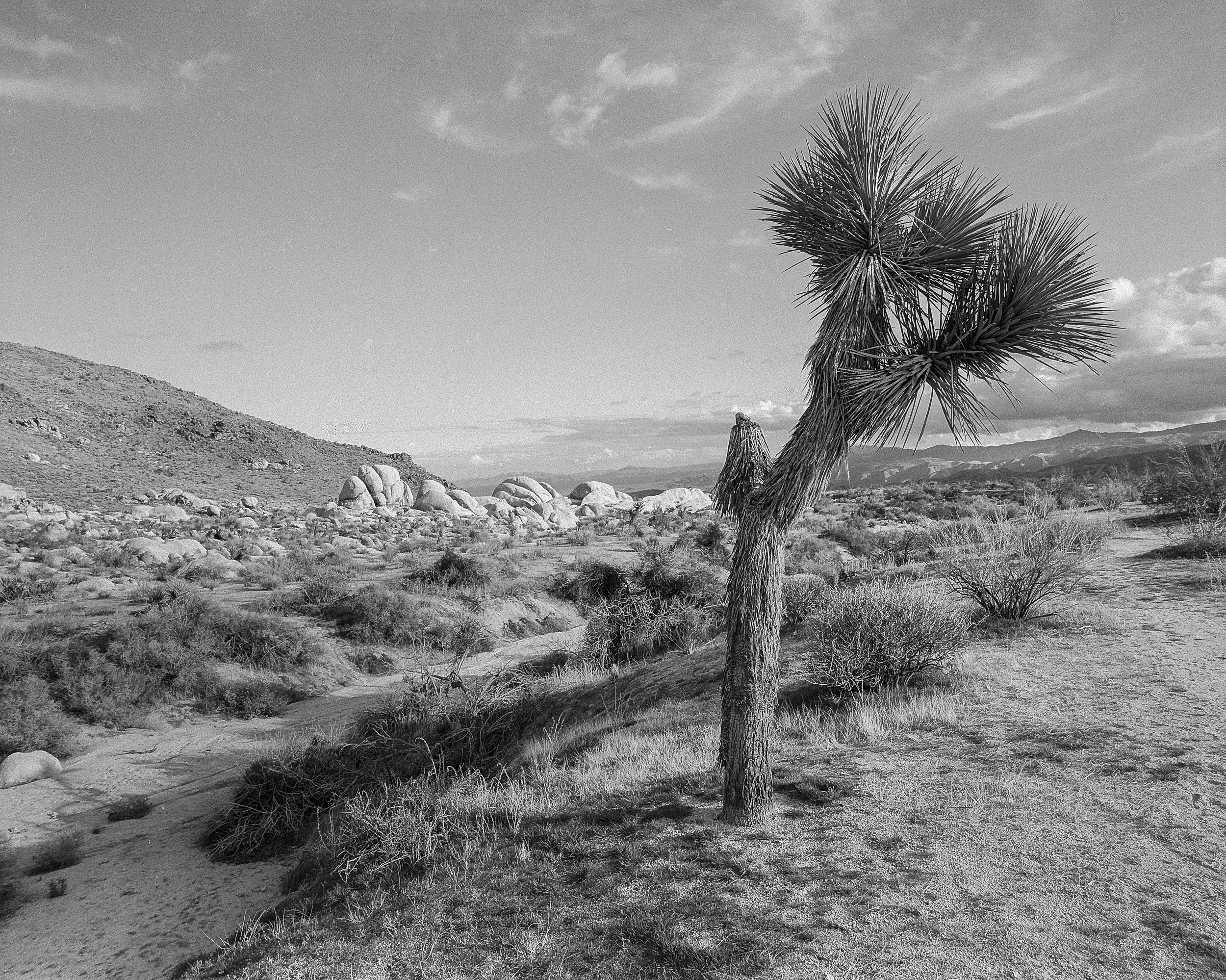 band test JT near dry wash bed-Edit-2.jpg