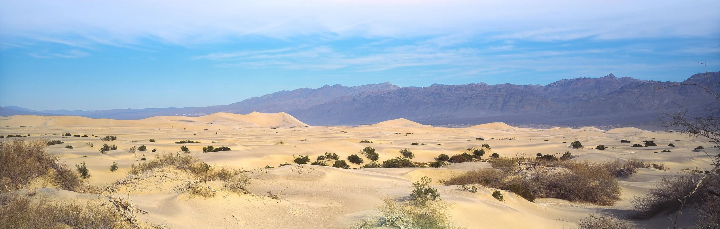 Mesquite Dunes (2).jpg