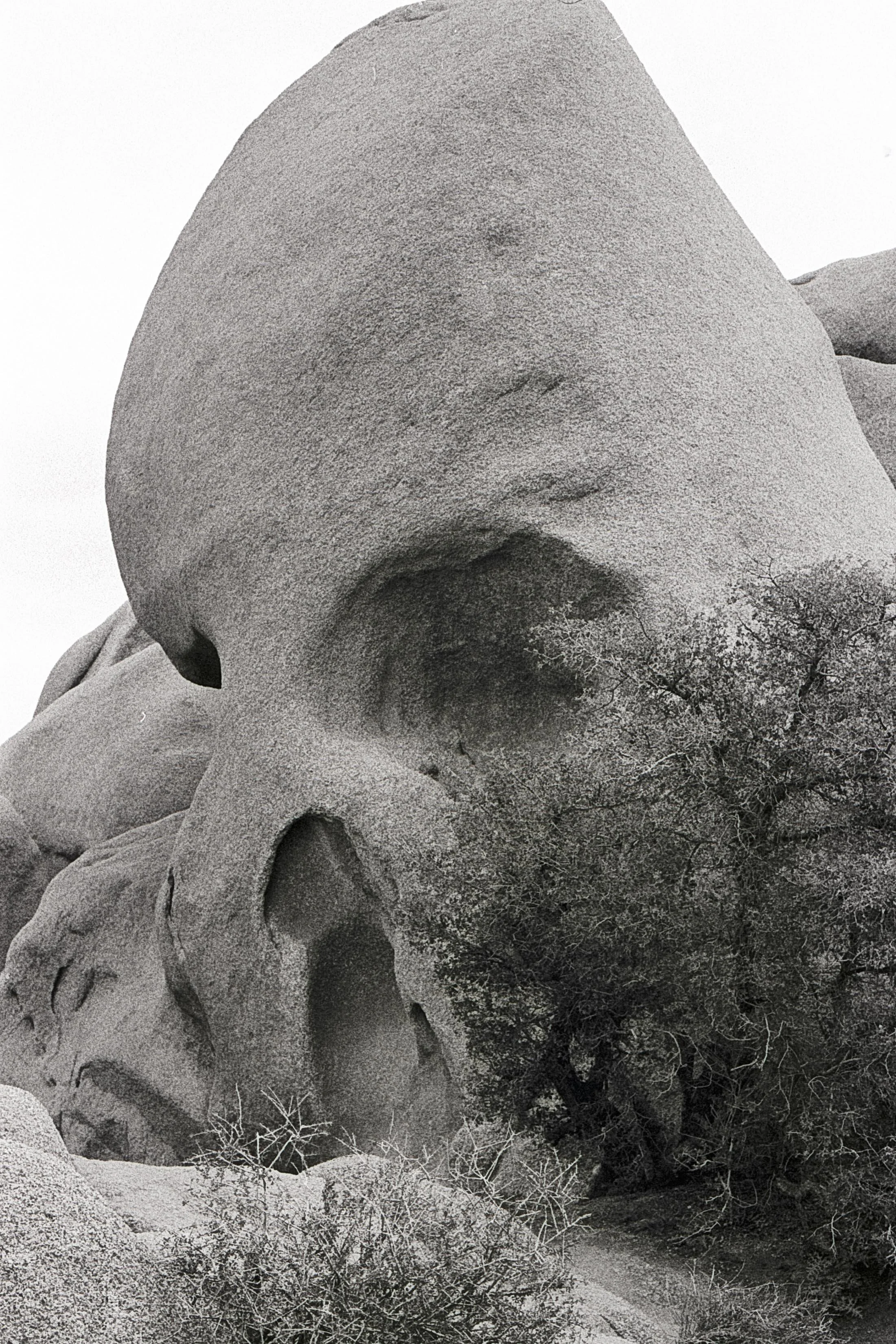 skull rock.jpg
