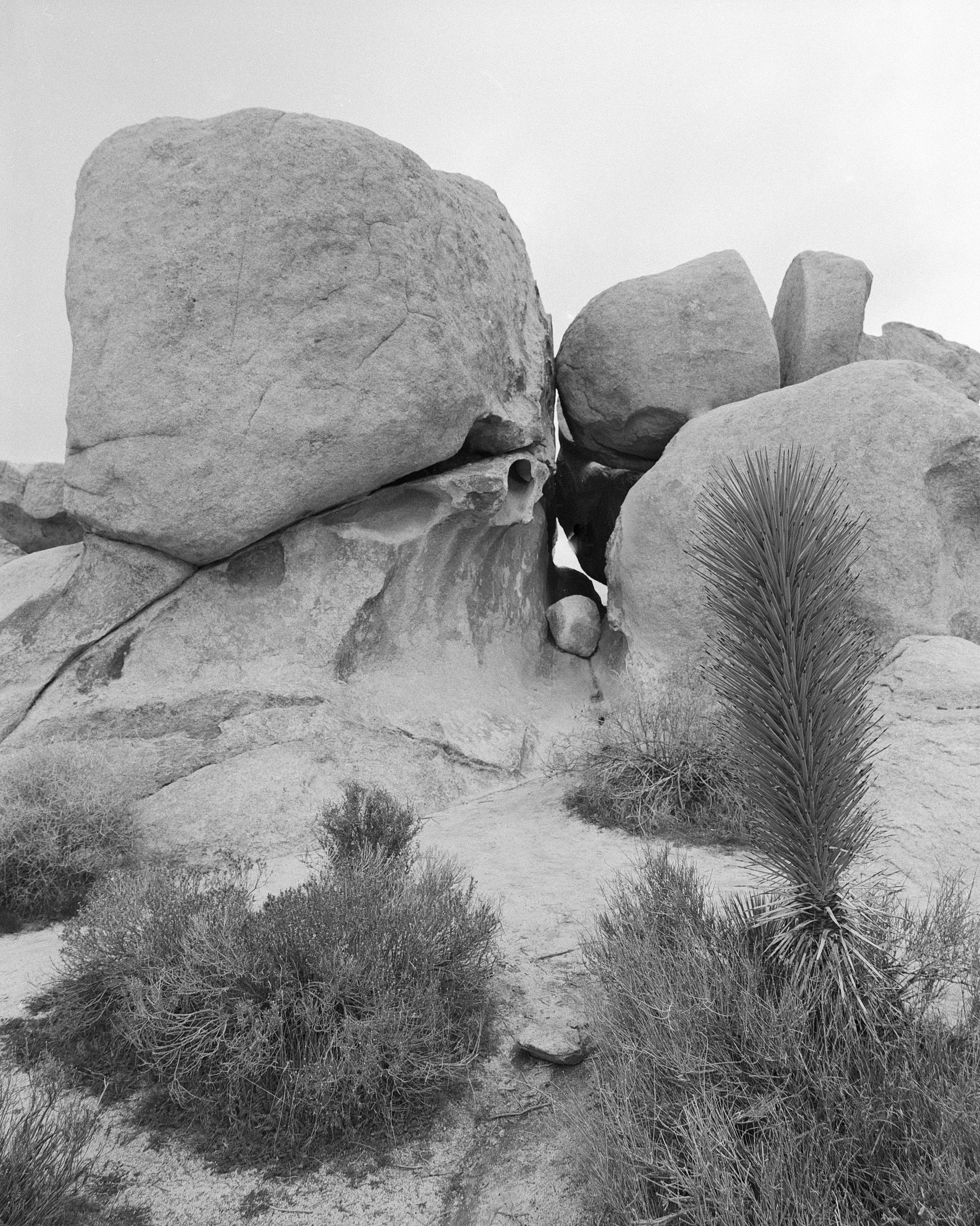 JT right leaning tendencies (2).jpg