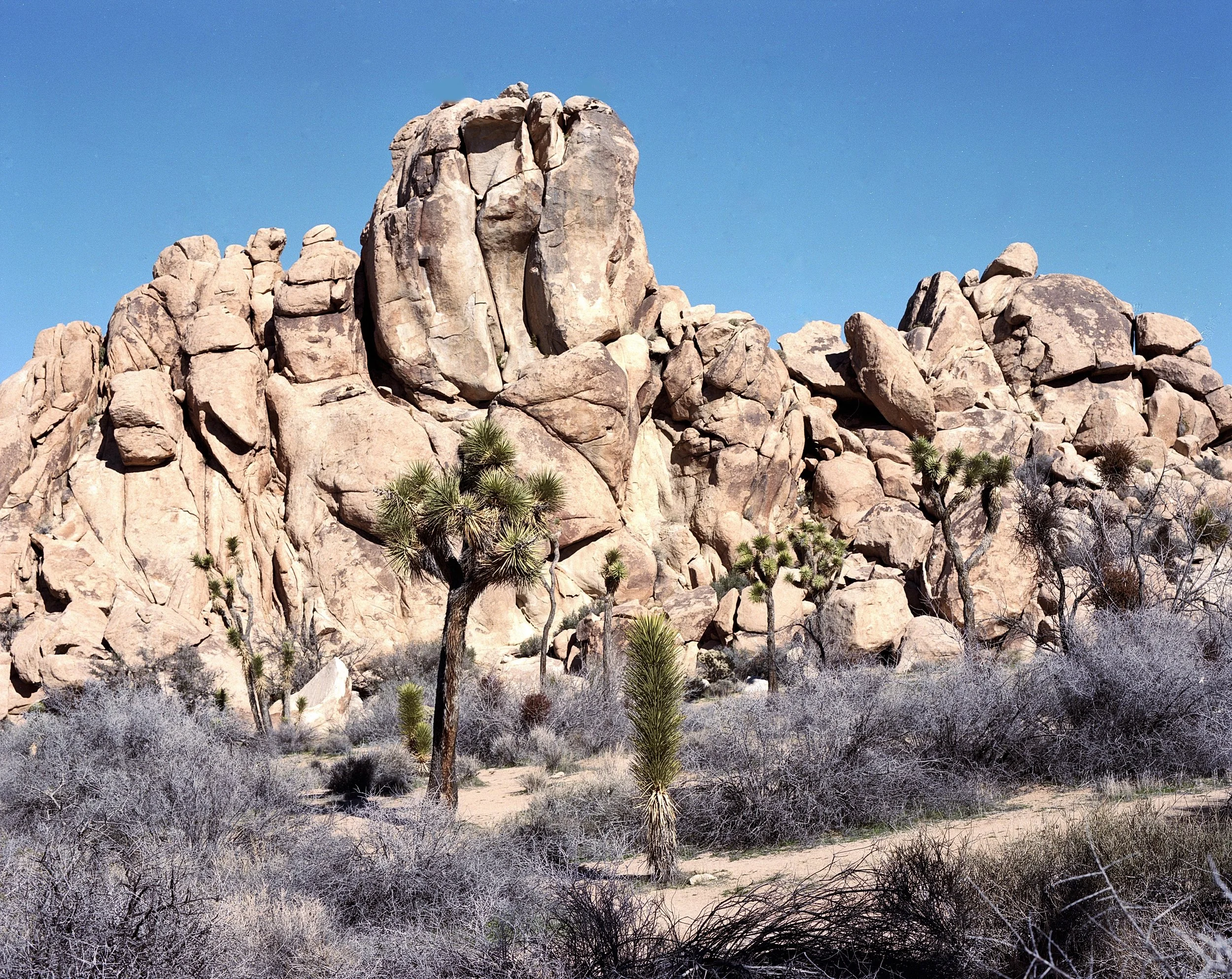 JT good rocks-Edit-Edit.jpg