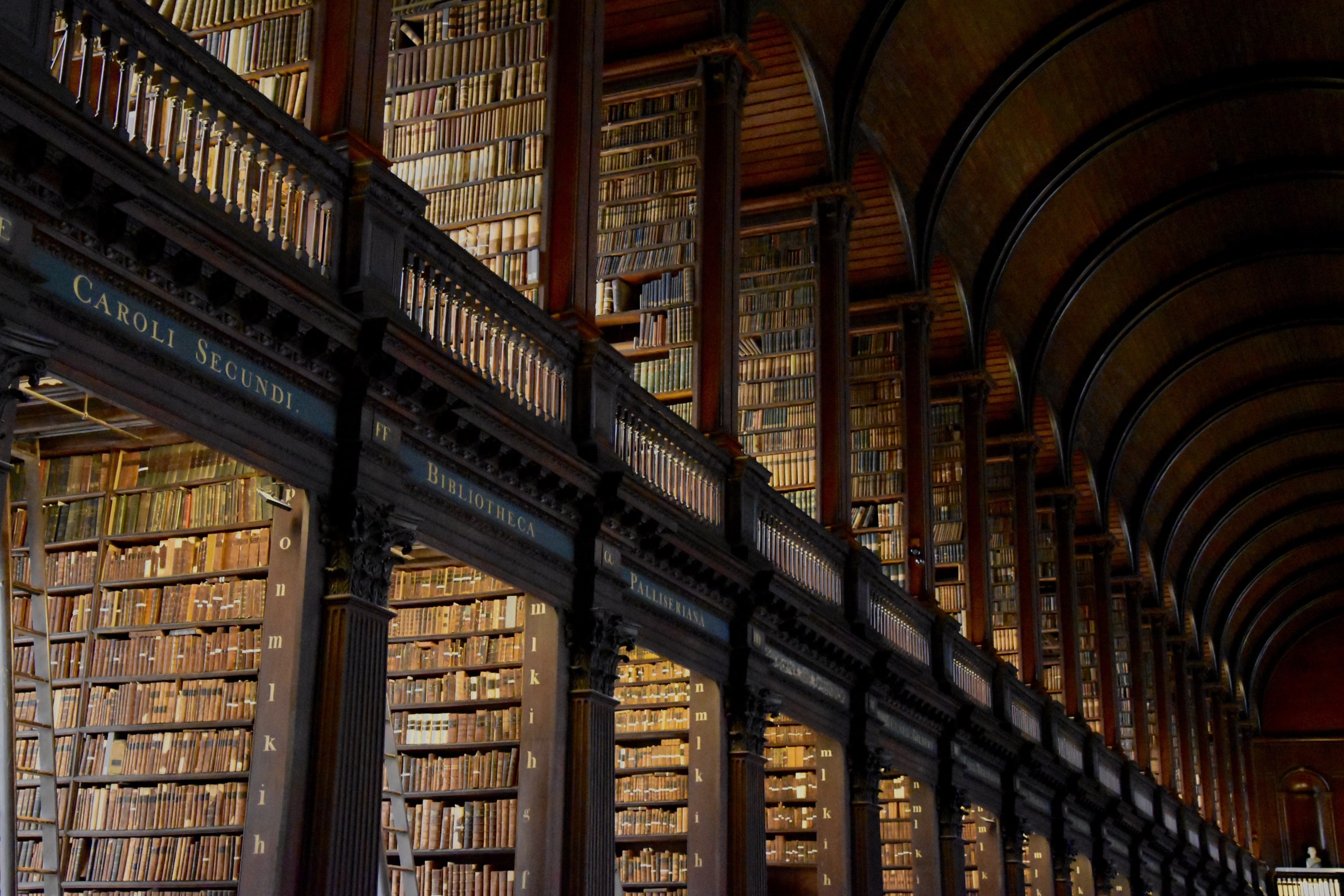 The purpose of education