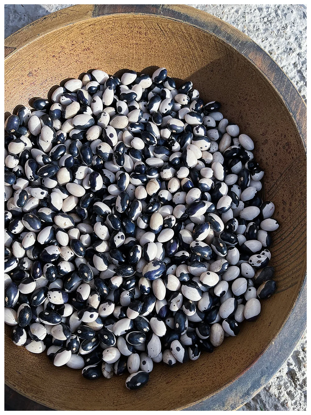 Polish Farmer Heirloom Dry Beans and Produce