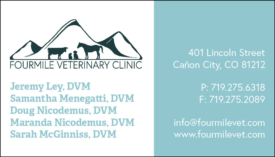 FMILE-BizCards2019-AllDVMs.jpg