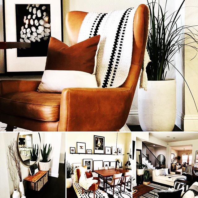 Did you know plants can increase the amount of oxygen in a room? That&rsquo;s one of the reason I love plants....it can also add style to your home.... do you love plants?! Check out my style @marisolhanlon.com