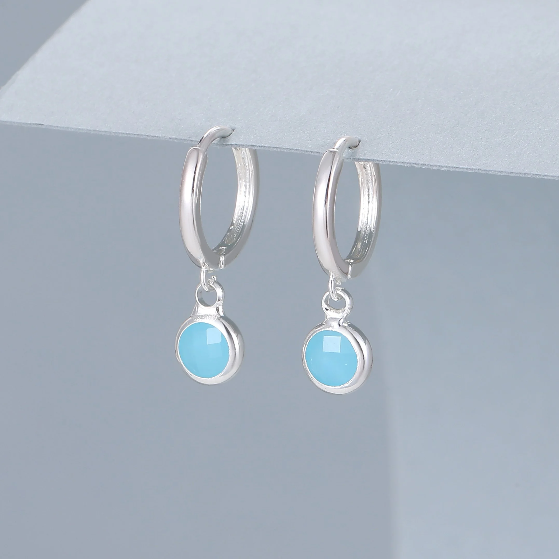e101953S.  Earrings