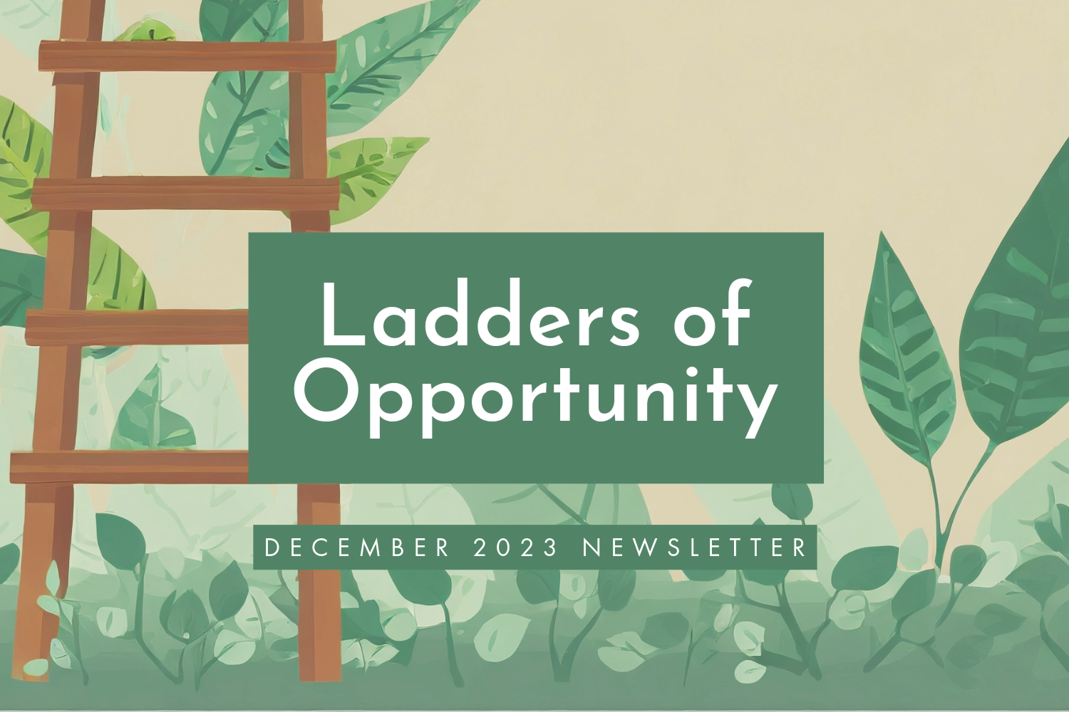 Ladders of Opportunity: Our December Newsletter