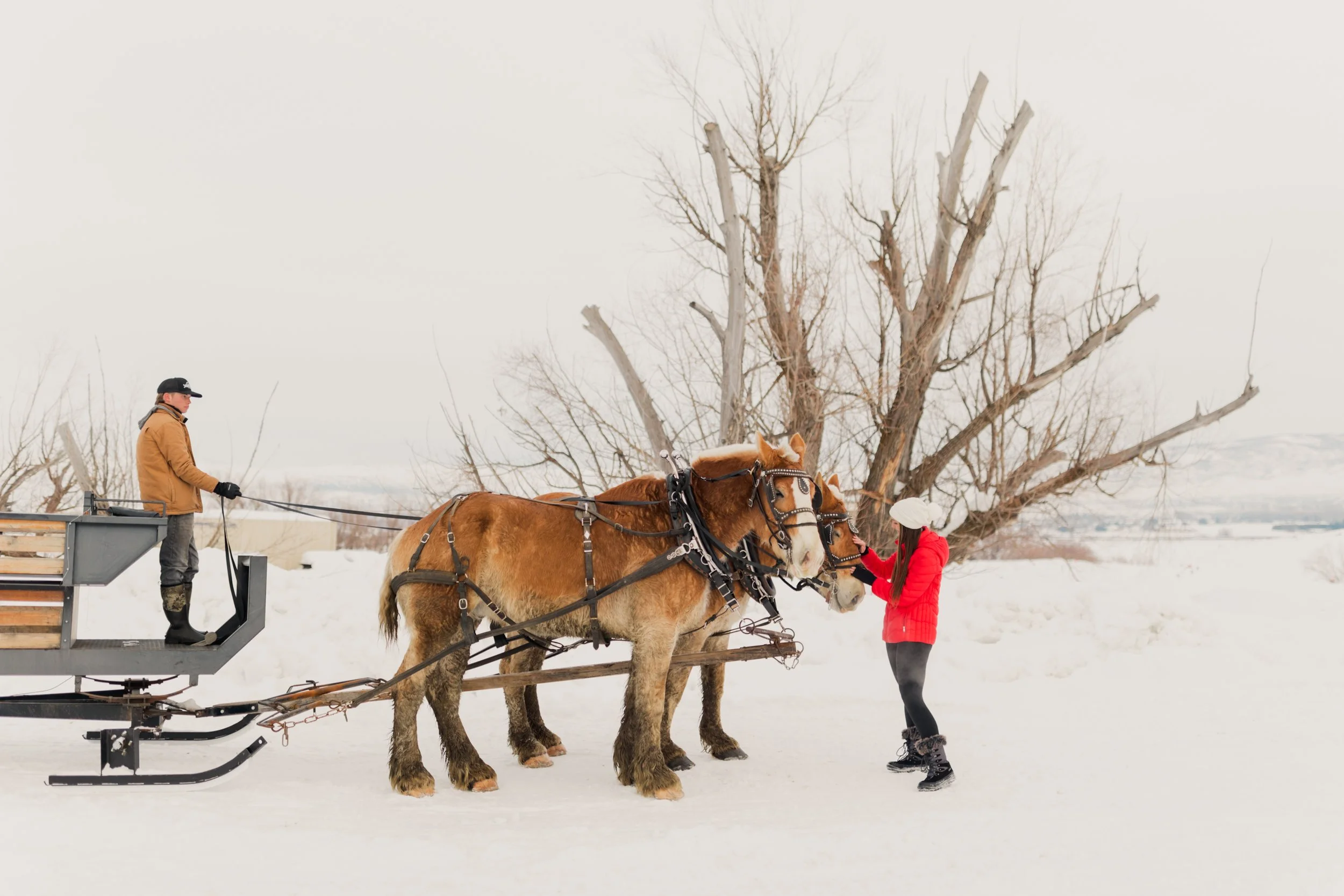 The Ultimate Guide To The Midway Ice Castles — ashley brasseaux
