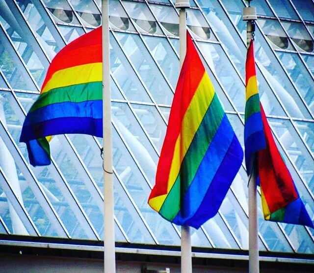 #pridemonth #pride🌈 #pride2020 #translivesmatter