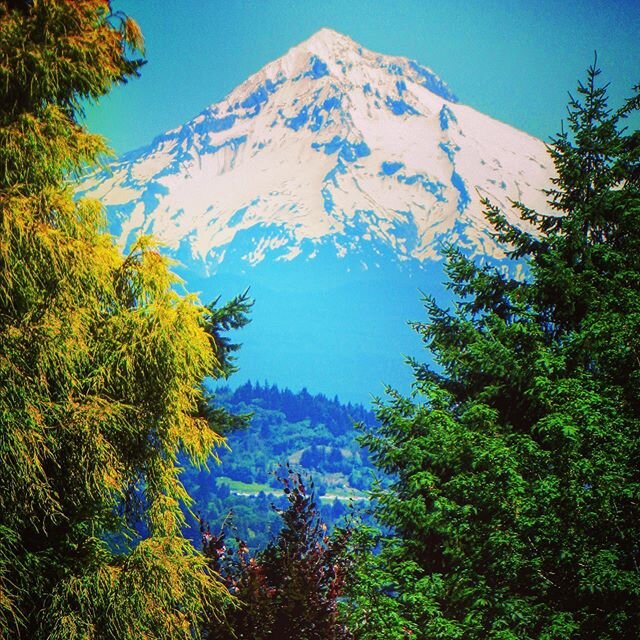 Volcano view, from Portland&rsquo;s Rose Garden. #mthood #rosecity