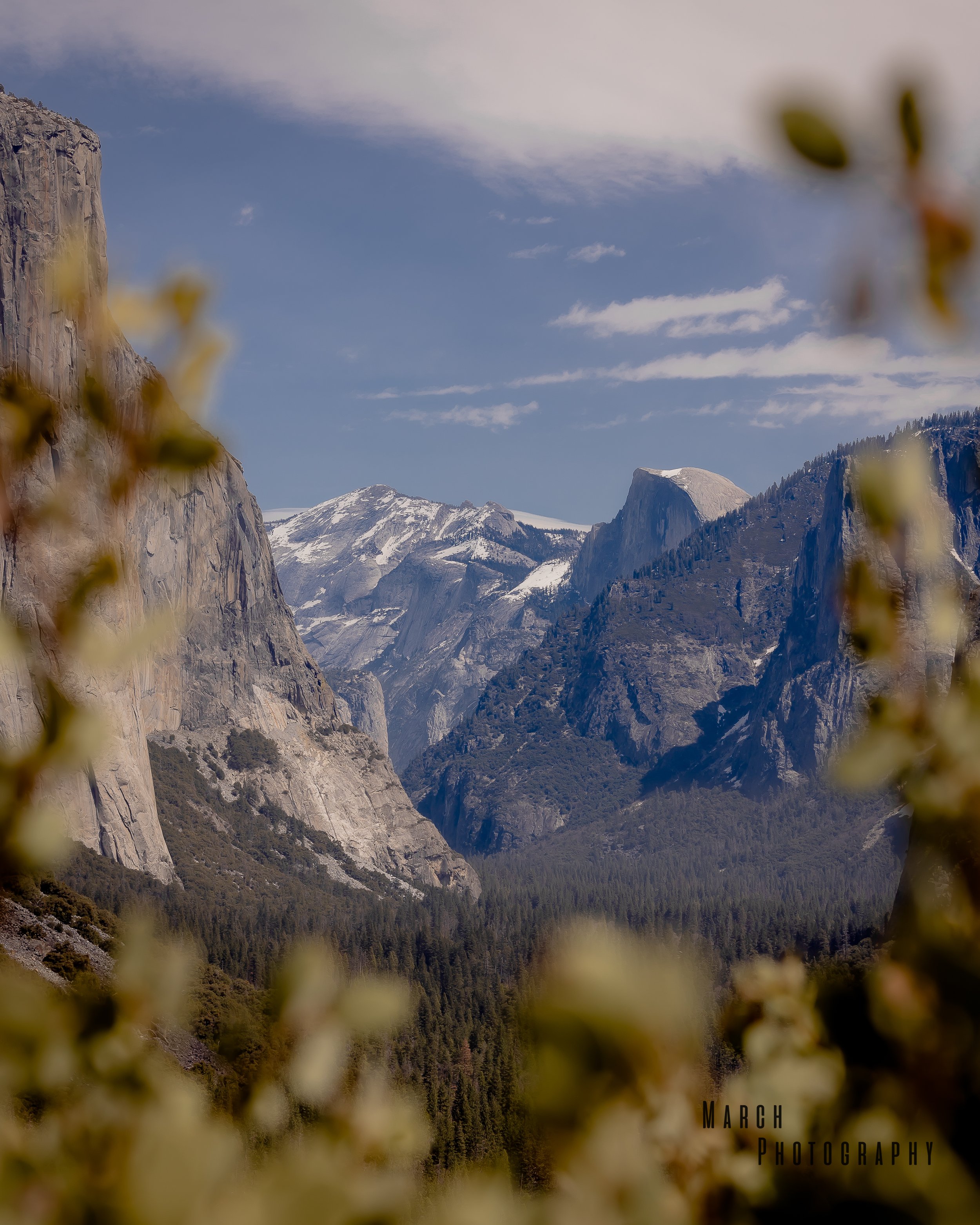 Yosemite 13.JPG