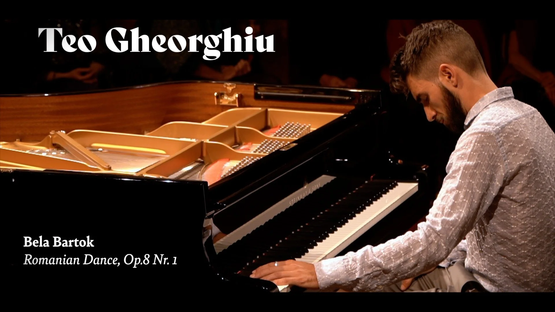 ROOTS Live Konzertfilme von Theo Gheorghius Pre Release Konzert in Fribourg