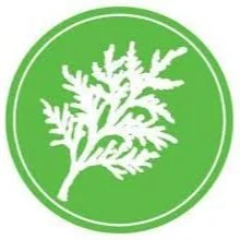 [GRP Run] GRP Welcomes New Runners