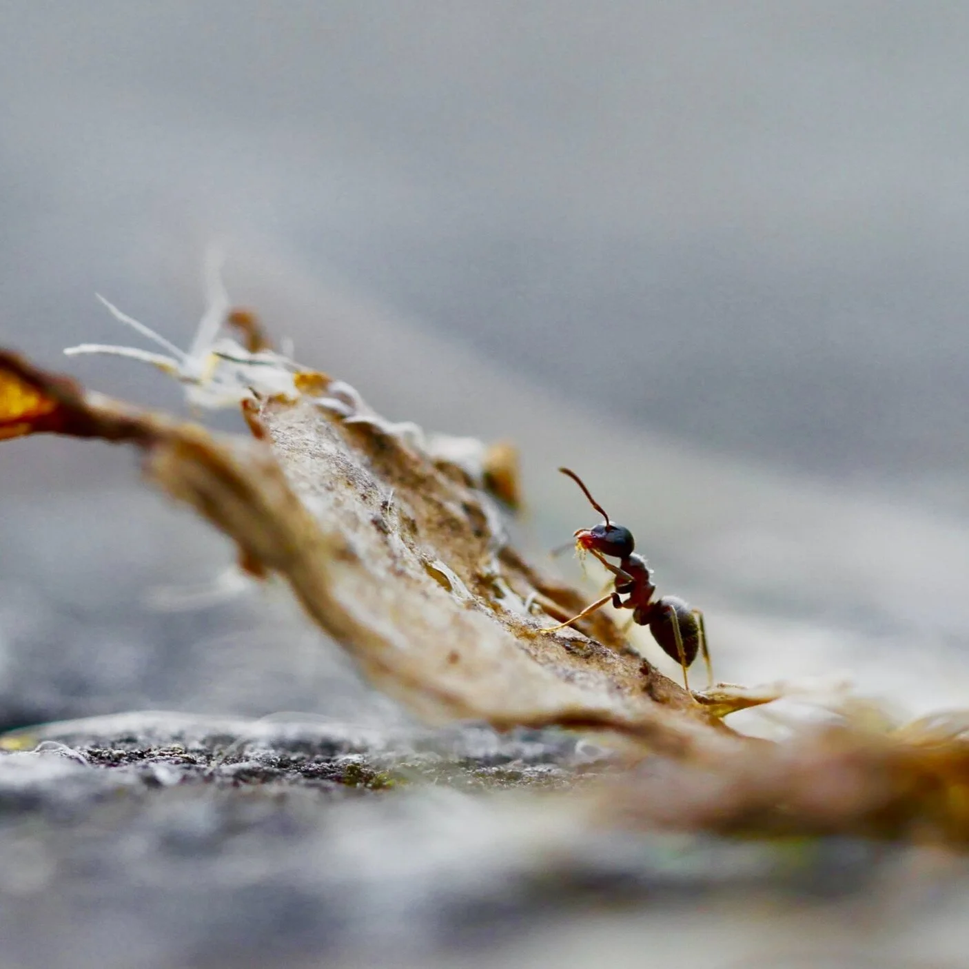 How are flexibility and robustness achieved, and do they trade-off with efficiency?