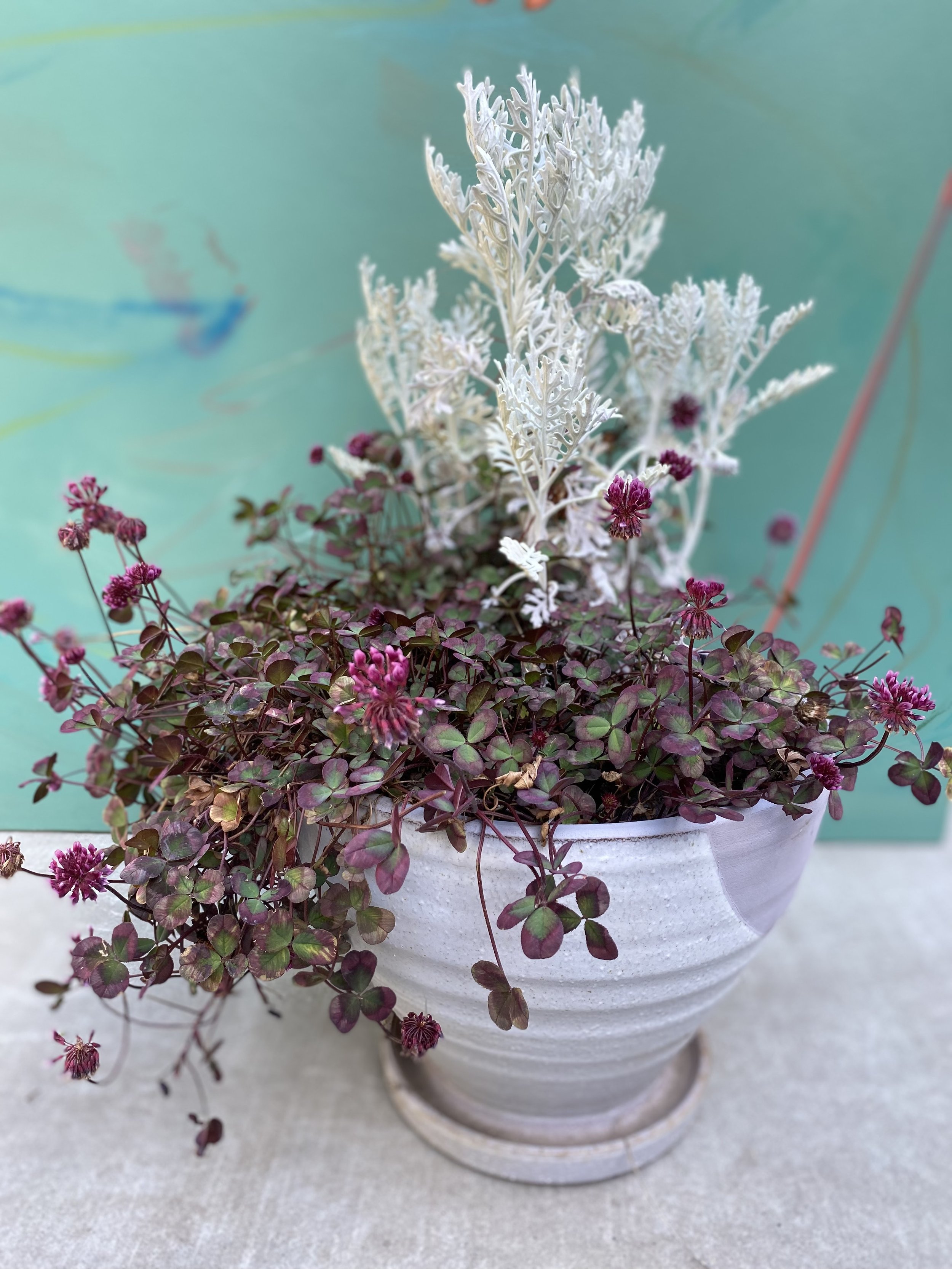 Clover arrangement.jpeg