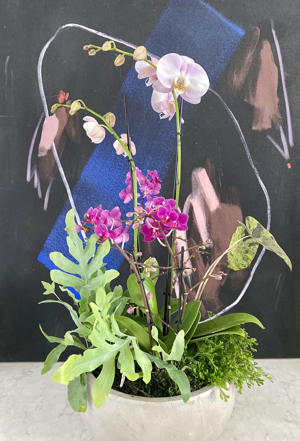 — Arrangement Gardener Tender Orchid The