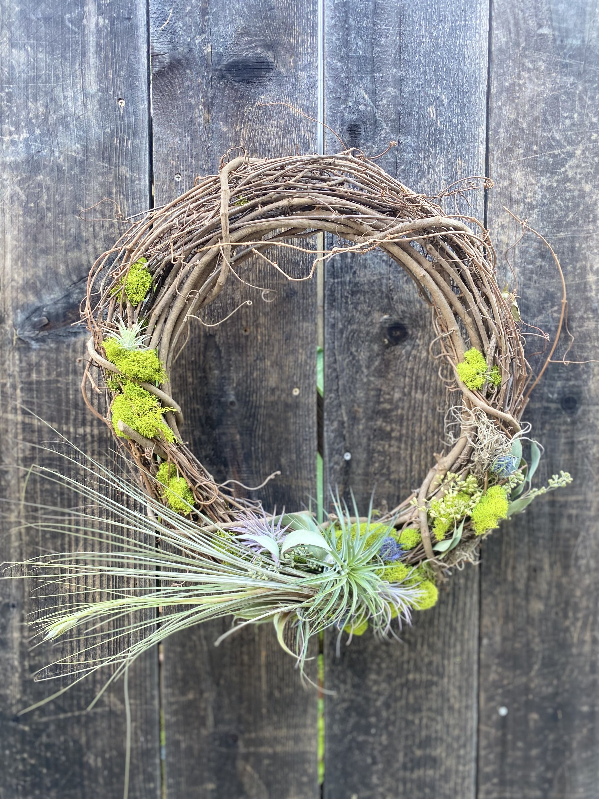 Tillandsia Wreath.jpeg