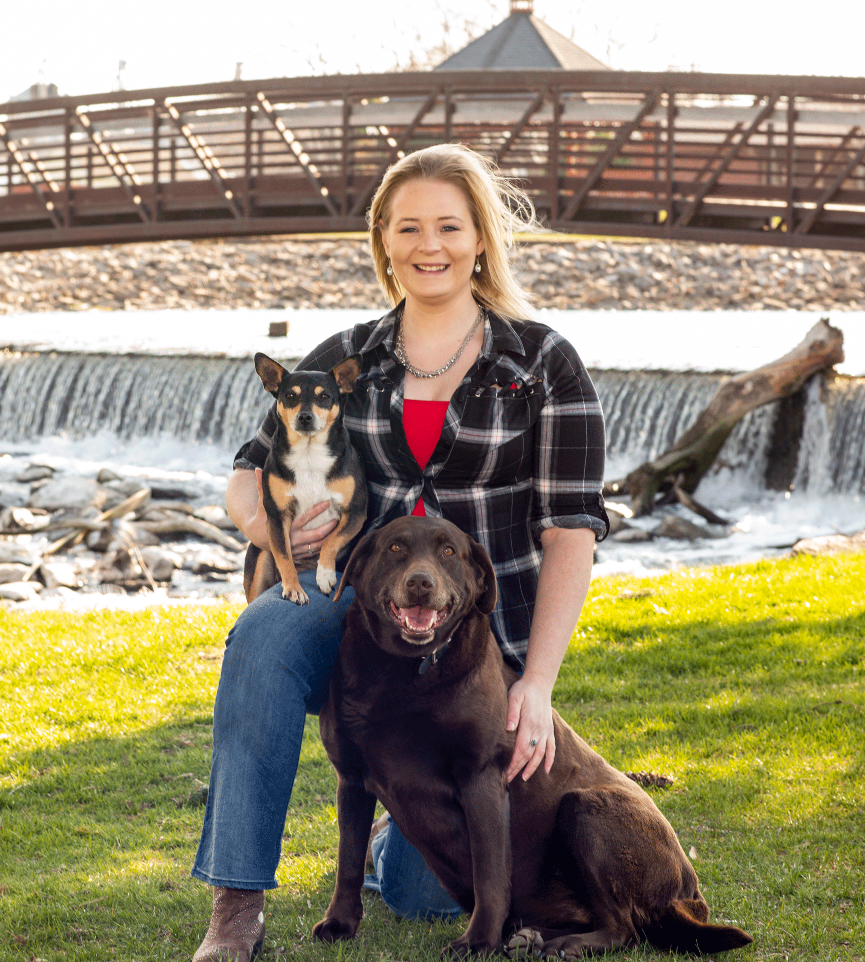 green collar grooming