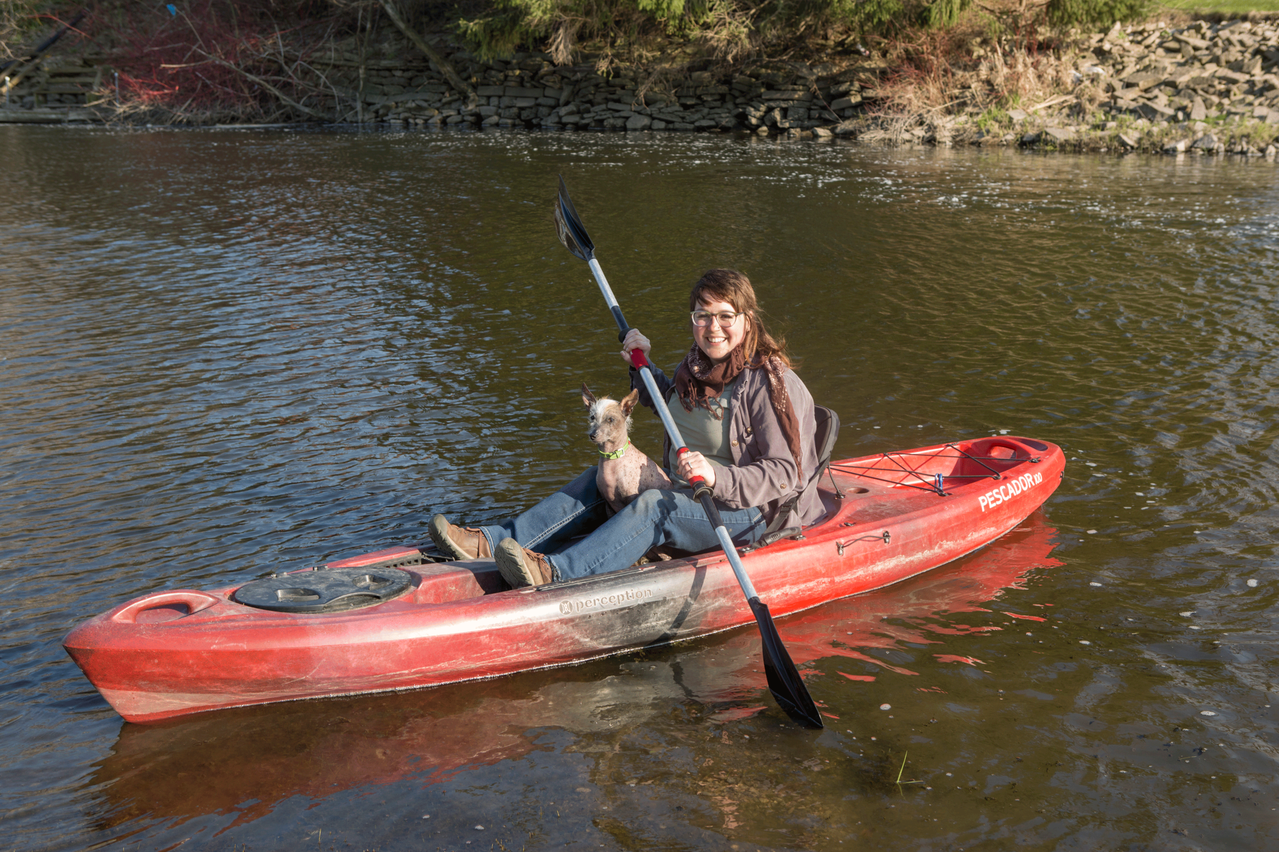 green collar grooming