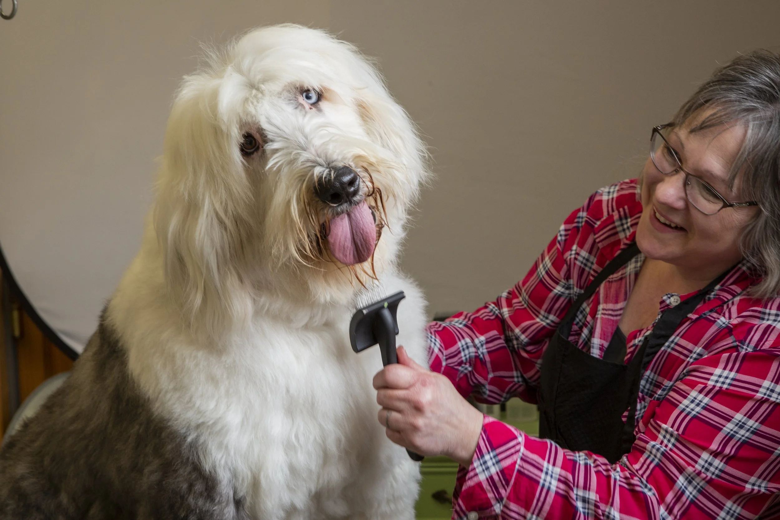 Book — Green Collar Grooming