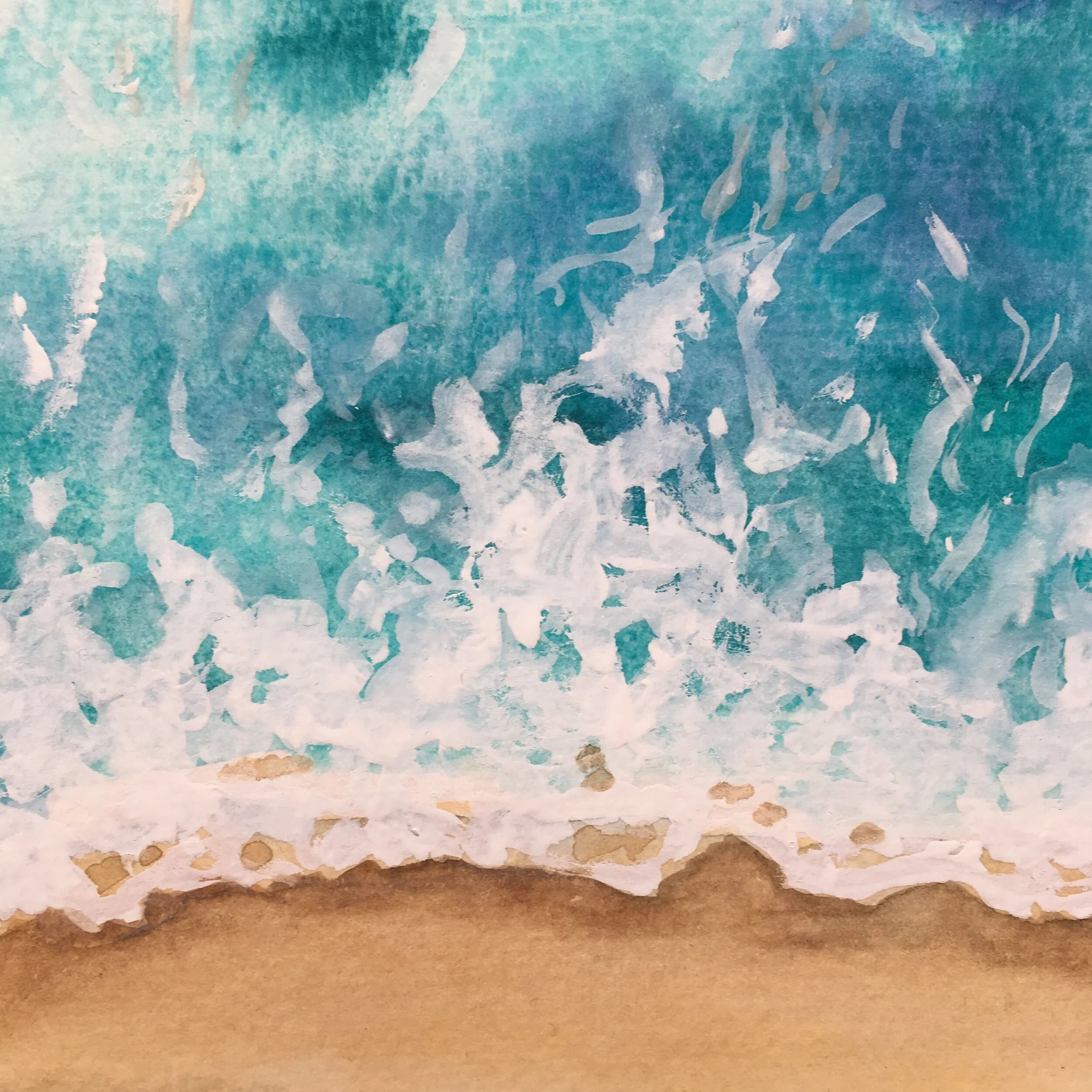 Shoreline Surf close up.JPG